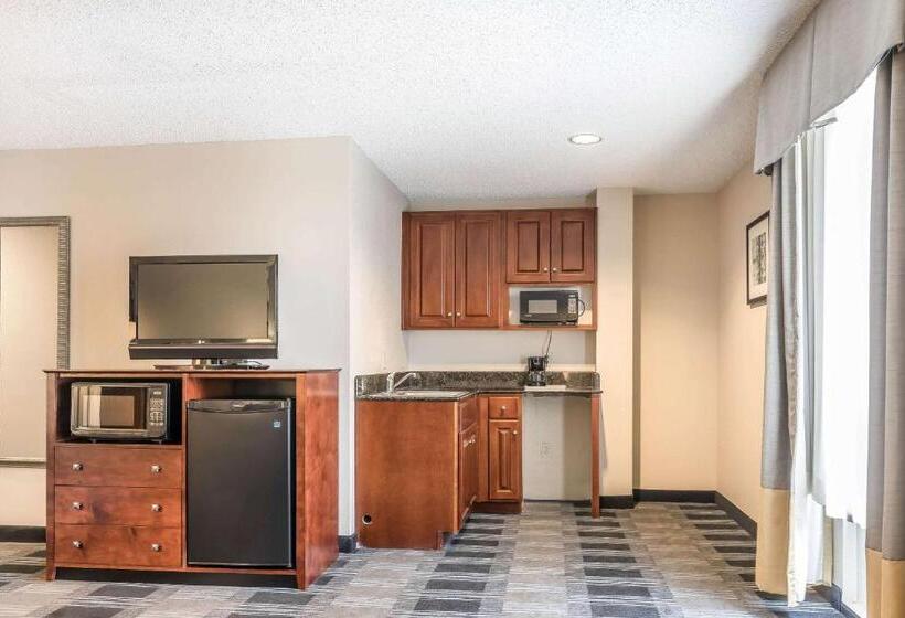 هتل Comfort Inn Sw Omaha I80