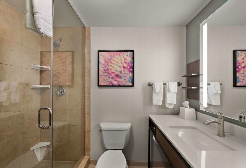 هتل Hilton Garden Inn Omaha East/council Bluffs