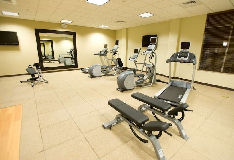 هتل Hilton Garden Inn Omaha East/council Bluffs