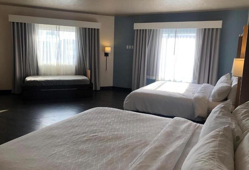 هتل Holiday Inn Omaha Downtown   Waterpark, An Ihg
