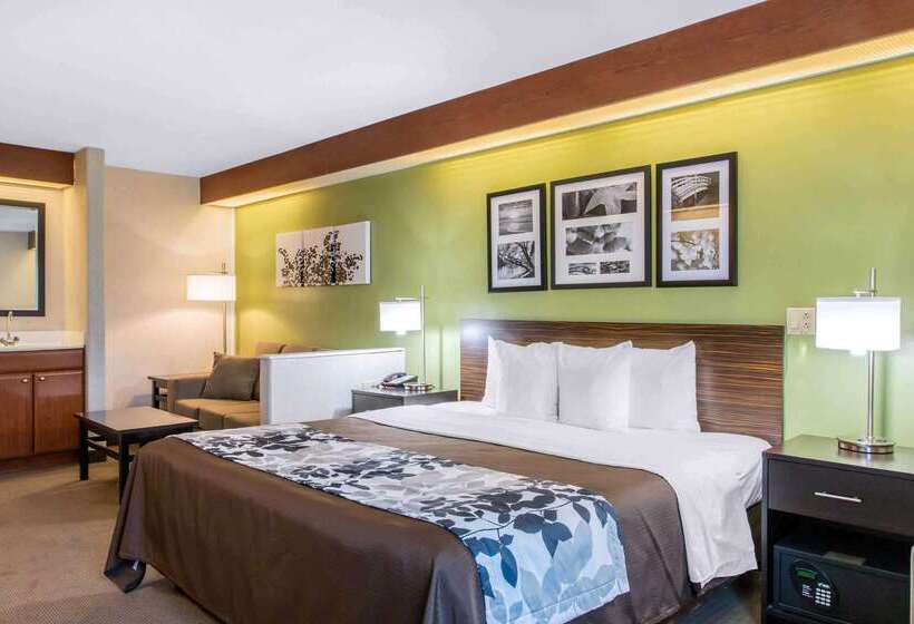酒店 Sleep Inn & Suites