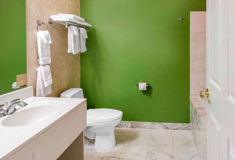 酒店 Sleep Inn & Suites