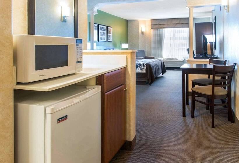 酒店 Sleep Inn & Suites