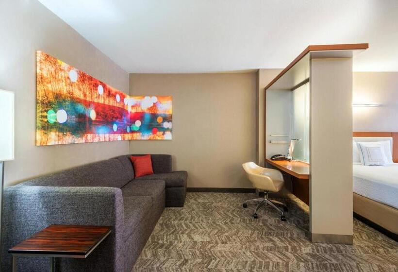 هتل Springhill Suites Louisville Downtown