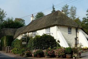 هتل Rose Farm