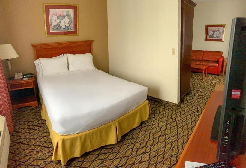 酒店 Baymont By Wyndham Chelsea