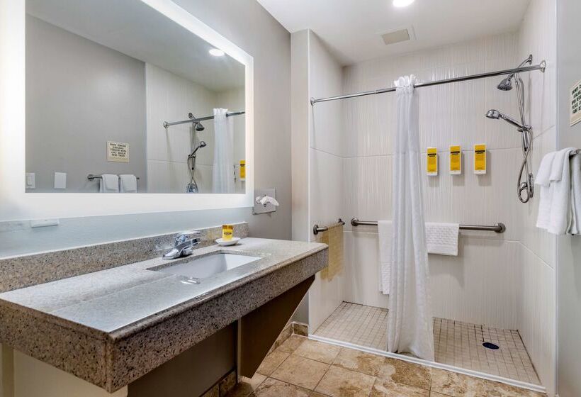 בית מלון כפרי Best Western Plus Edinburg Inn & Suites
