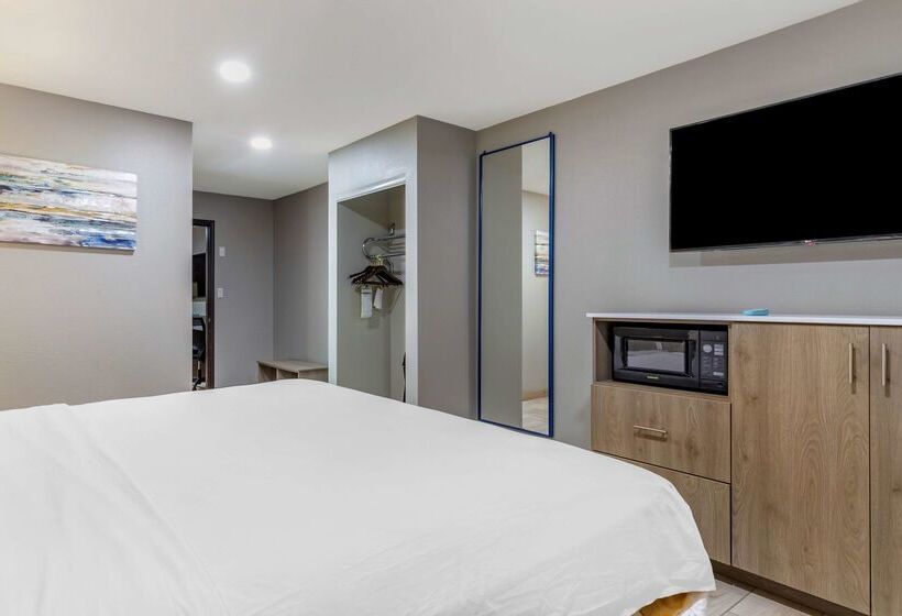 בית מלון כפרי Best Western Plus Edinburg Inn & Suites