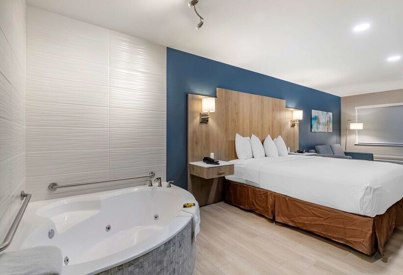 בית מלון כפרי Best Western Plus Edinburg Inn & Suites