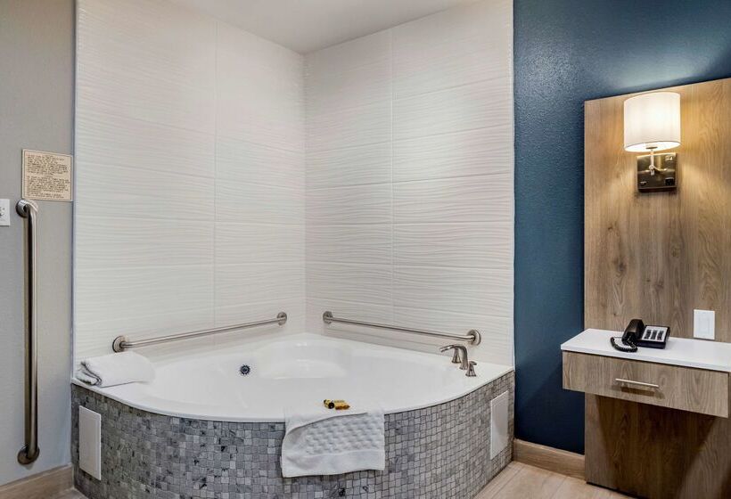בית מלון כפרי Best Western Plus Edinburg Inn & Suites