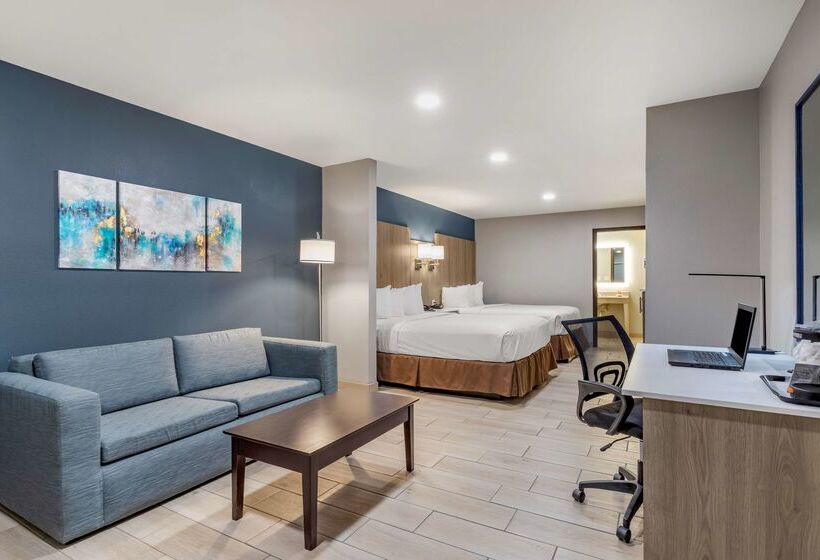 בית מלון כפרי Best Western Plus Edinburg Inn & Suites