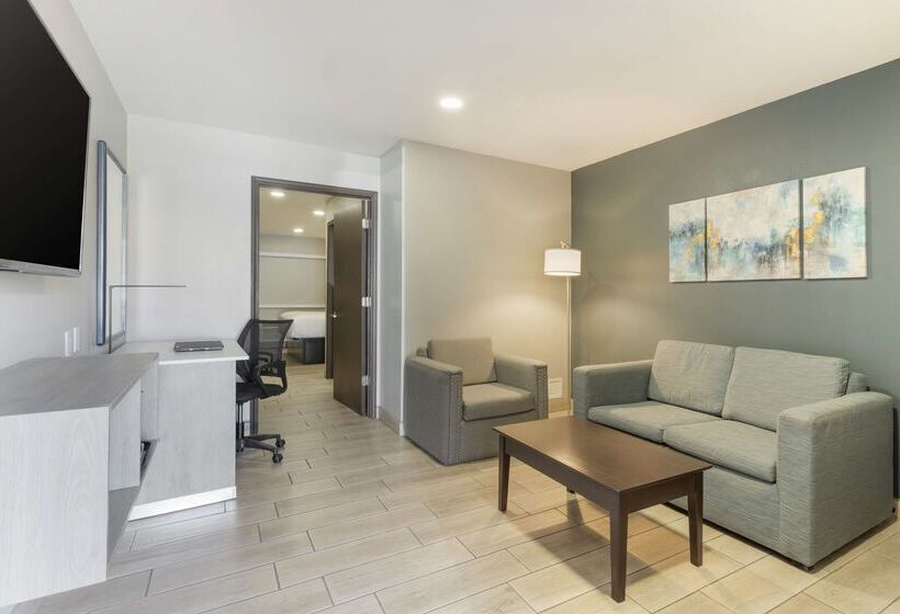 בית מלון כפרי Best Western Plus Edinburg Inn & Suites