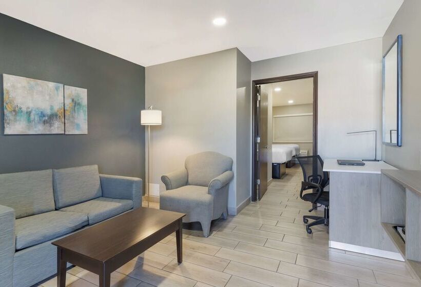 בית מלון כפרי Best Western Plus Edinburg Inn & Suites