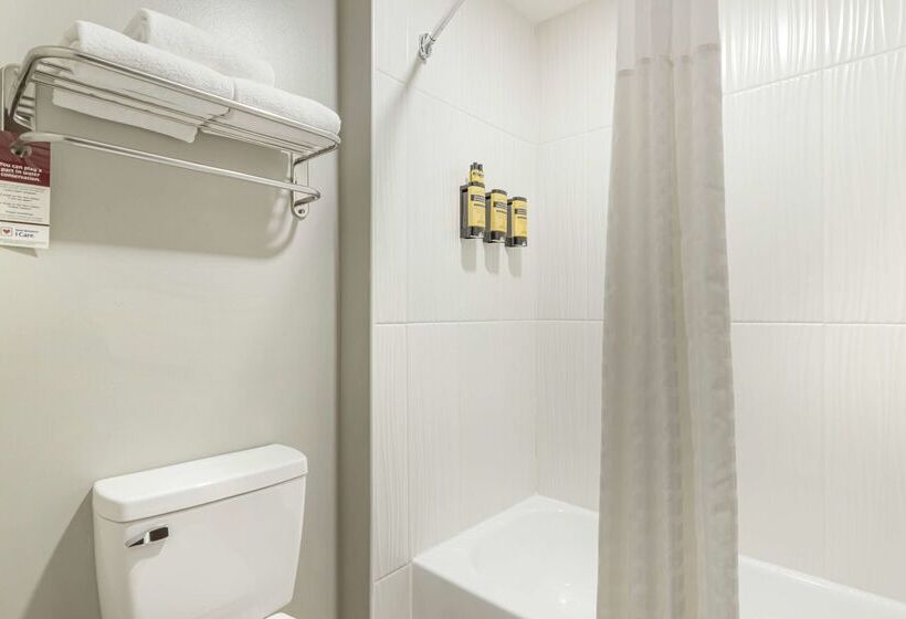 בית מלון כפרי Best Western Plus Edinburg Inn & Suites