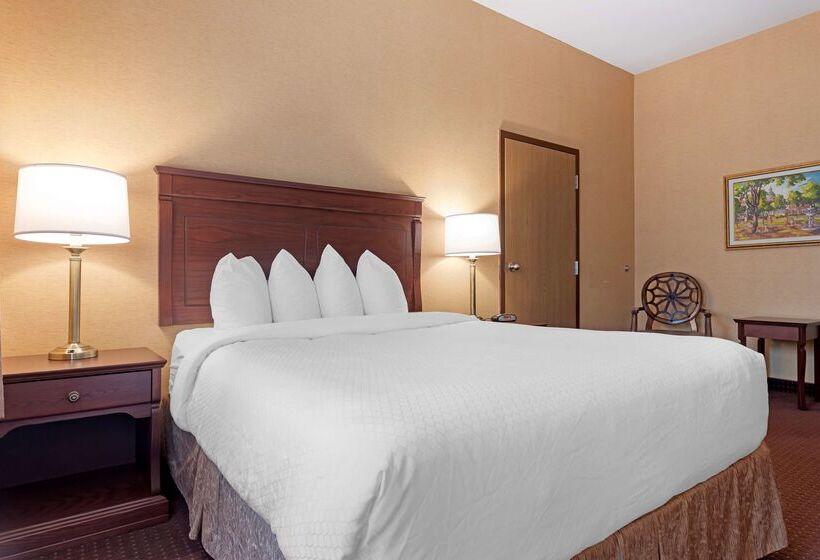 Best Western Plus Fredericton Hotel & Suites