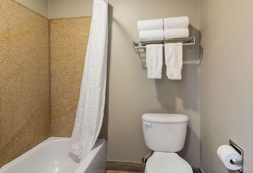 هتل Best Western Plus Newport News