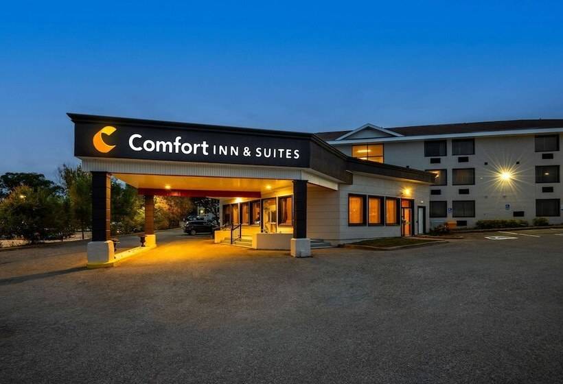 فندق Comfort Inn & Suites
