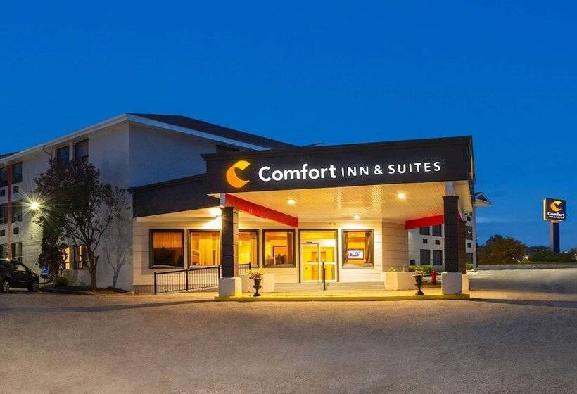فندق Comfort Inn & Suites