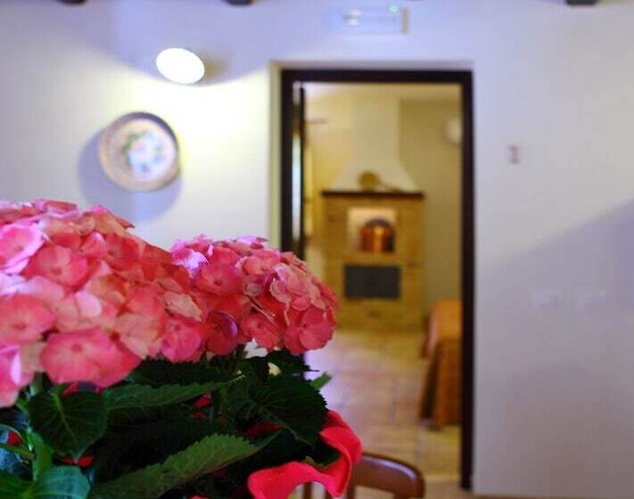 B&b Sabir