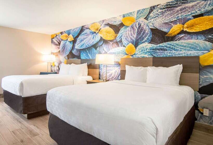 Отель Clarion Pointe South Boston  Danville East