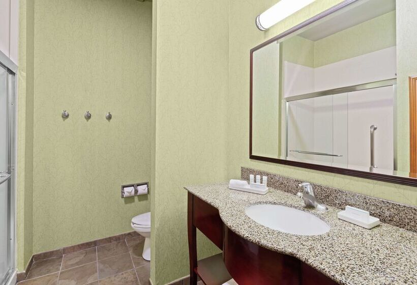 בית מלון כפרי Hampton Inn West Palm Beachlake Worthturnpike