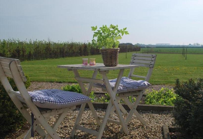 B&b Snellenstein