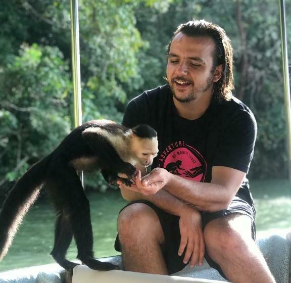 فندق Monkey Lodge Panama