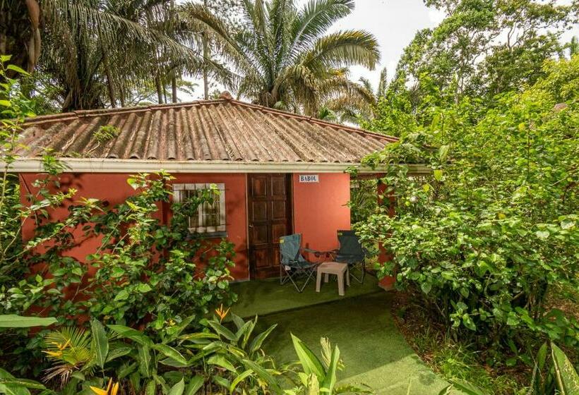 فندق Monkey Lodge Panama