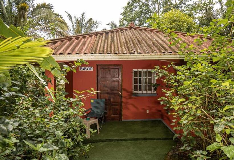فندق Monkey Lodge Panama