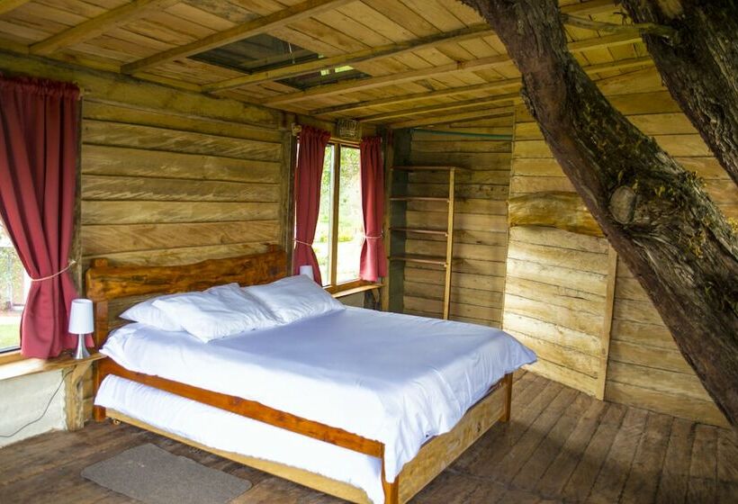 פנסיון Monte Verde Cabañas & Camping