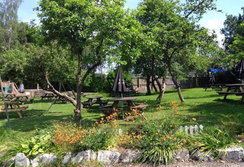 צימר Llanerch Inn