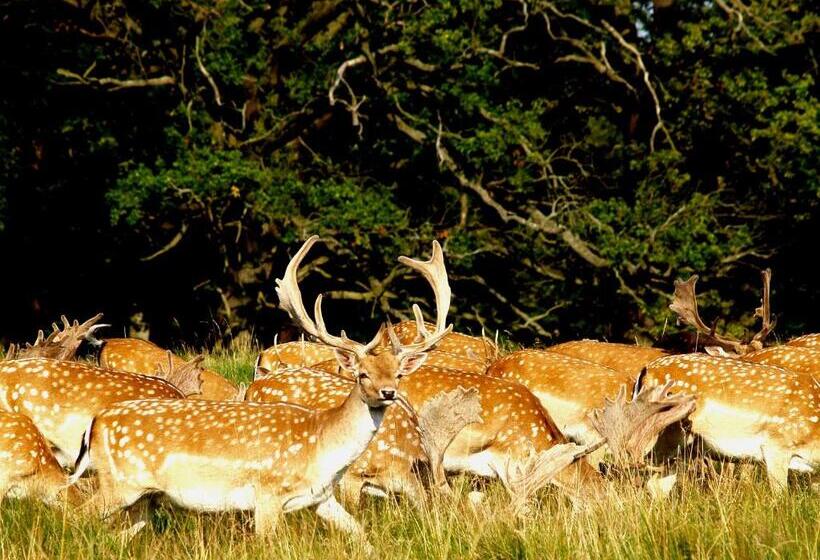 فندق Bourazani Wild Life Resort
