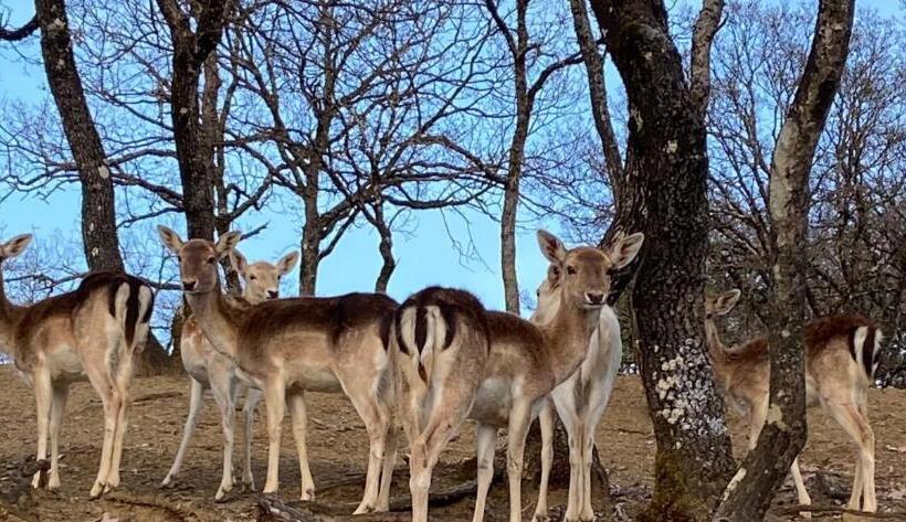 فندق Bourazani Wild Life Resort