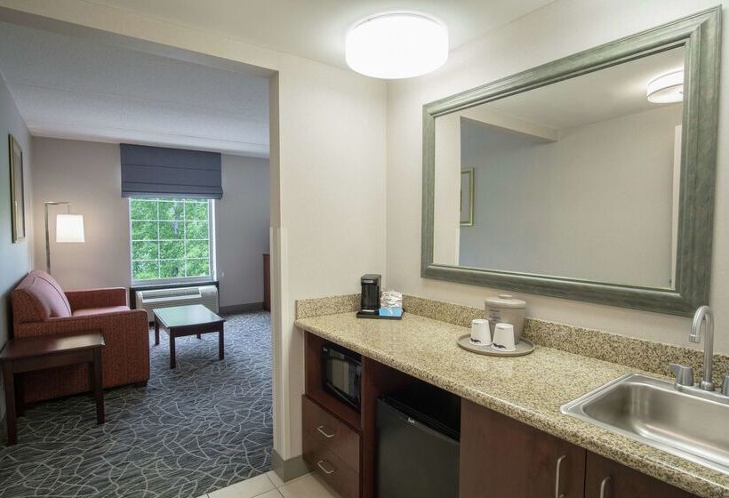 هتل Hampton Inn & Suites Berkshires Lenox