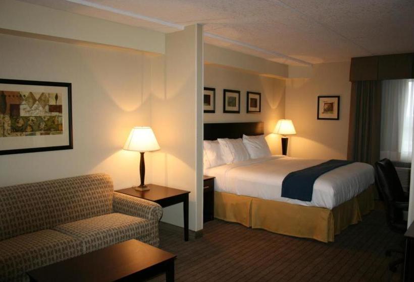 ホテル Comfort Inn & Suites