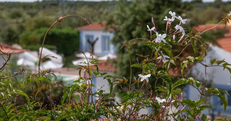 ホテル Monte Do Giestal  Casas De Campo & Spa