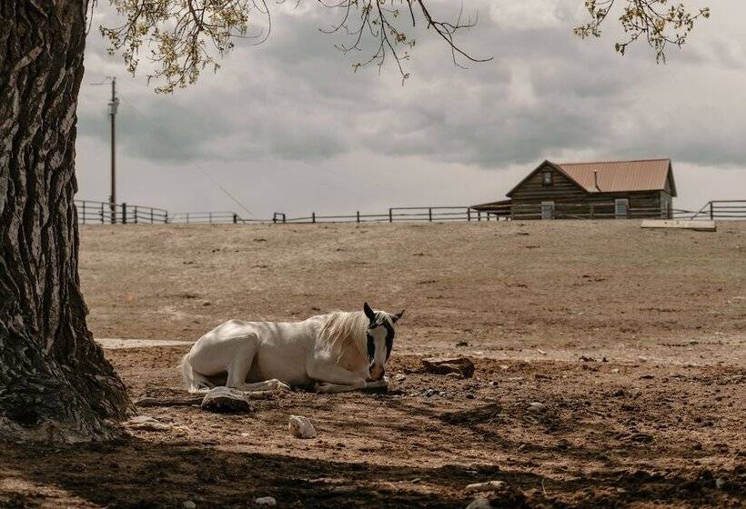فندق Ta Ranch