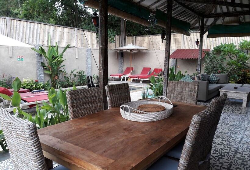 هتل Scallywags Smugglers