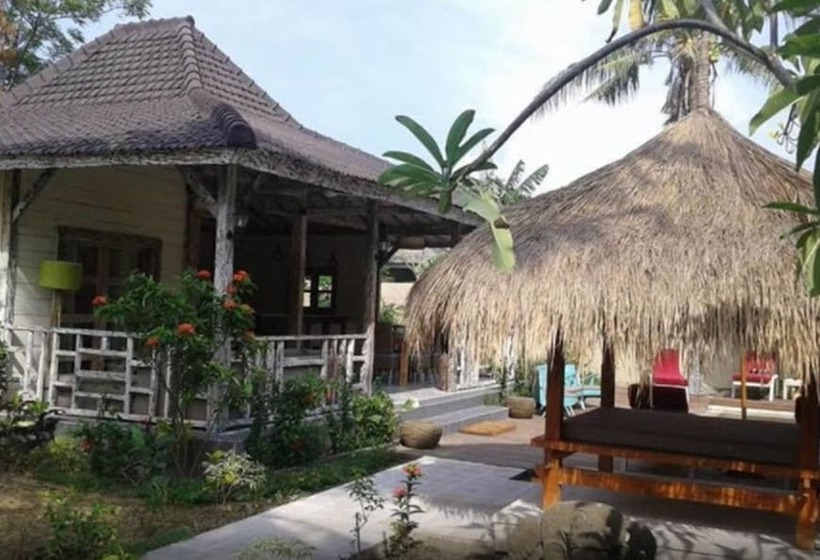 هتل Scallywags Smugglers