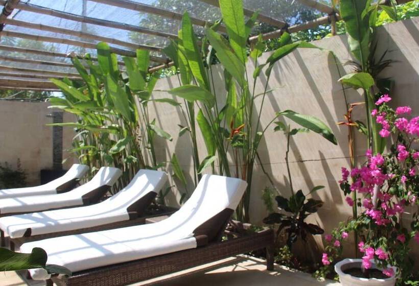 هتل Scallywags Smugglers