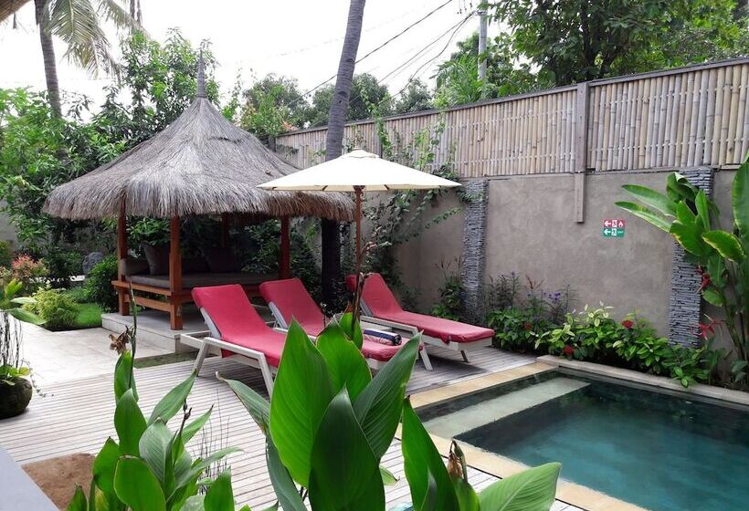 هتل Scallywags Smugglers