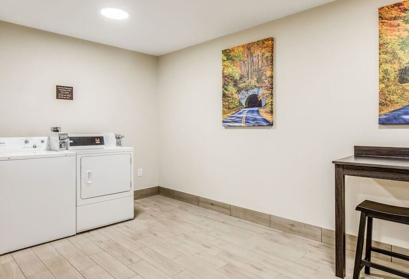 فندق Comfort Inn & Suites