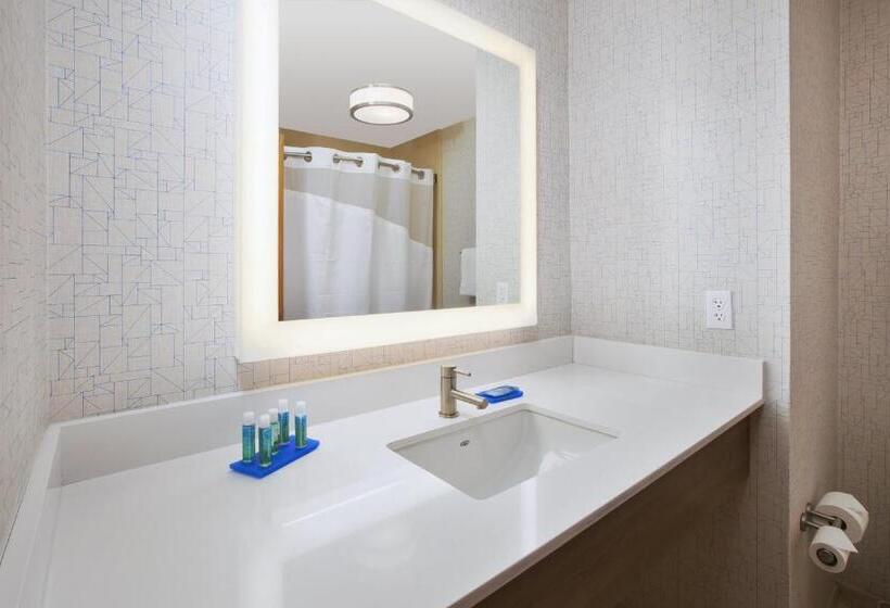 Holiday Inn Express Hotel & Suites Auburn Hills, An Ihg