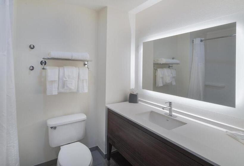 فندق Holiday Inn Southaven Central   Memphis, An Ihg