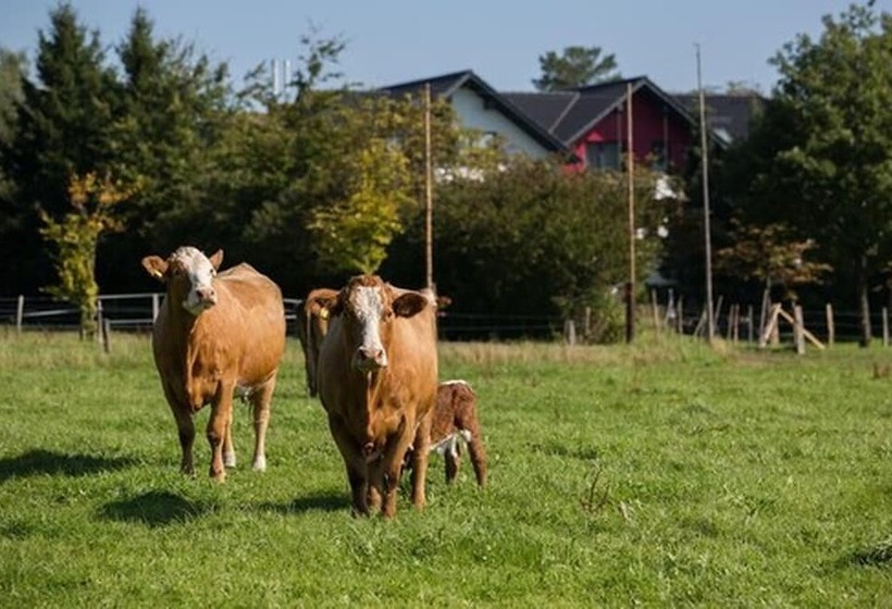 ペンション Landgasthof Gut Marienbildchen