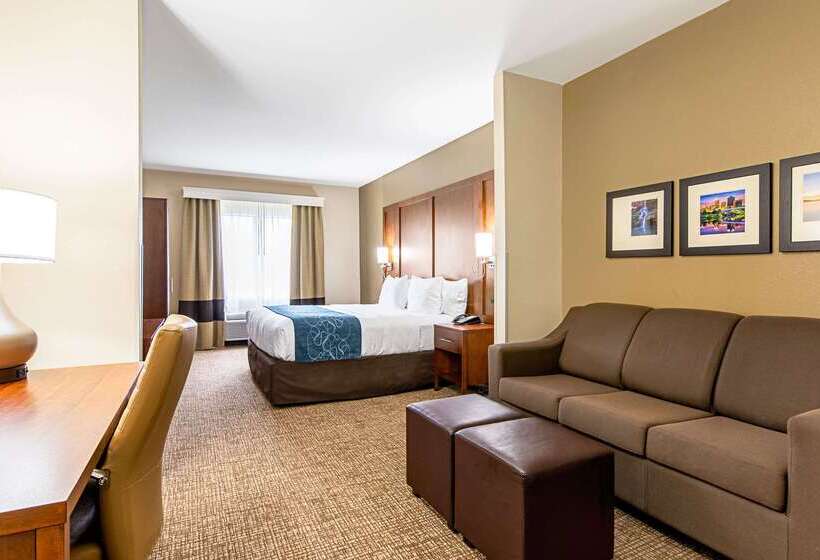 فندق Comfort Inn & Suites Pine Bluff