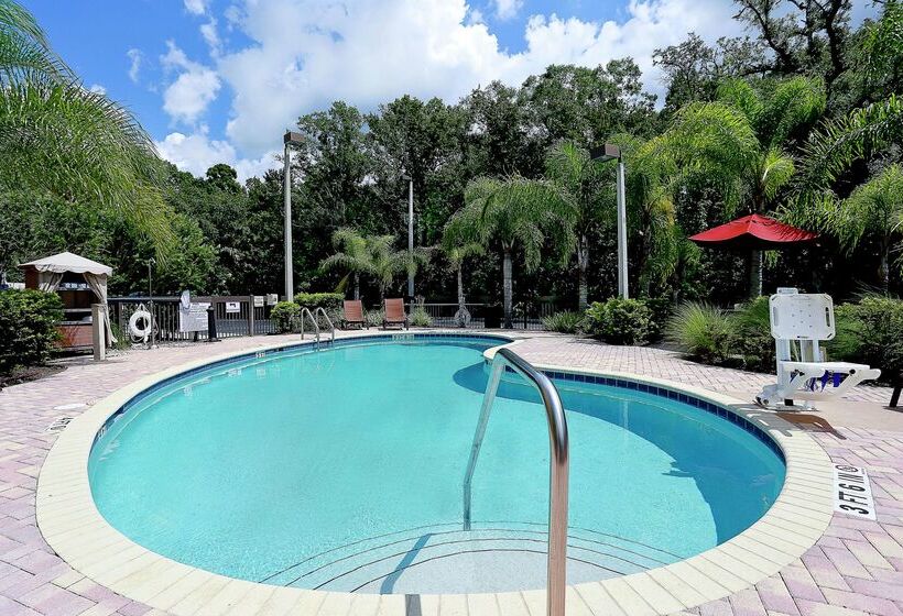 Отель Hampton Inn & Suites Tampawesley Chapel