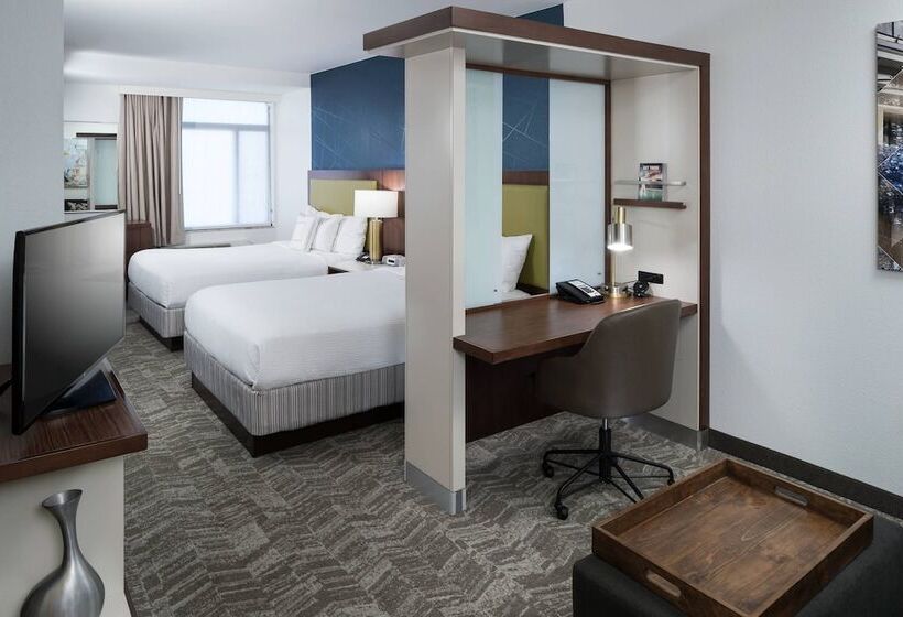 هتل Springhill Suites Alexandria Southwest