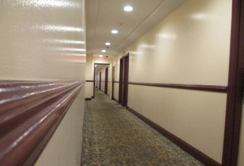 汽车旅馆  Regal Inn Chicago O Hare  Franklin Park