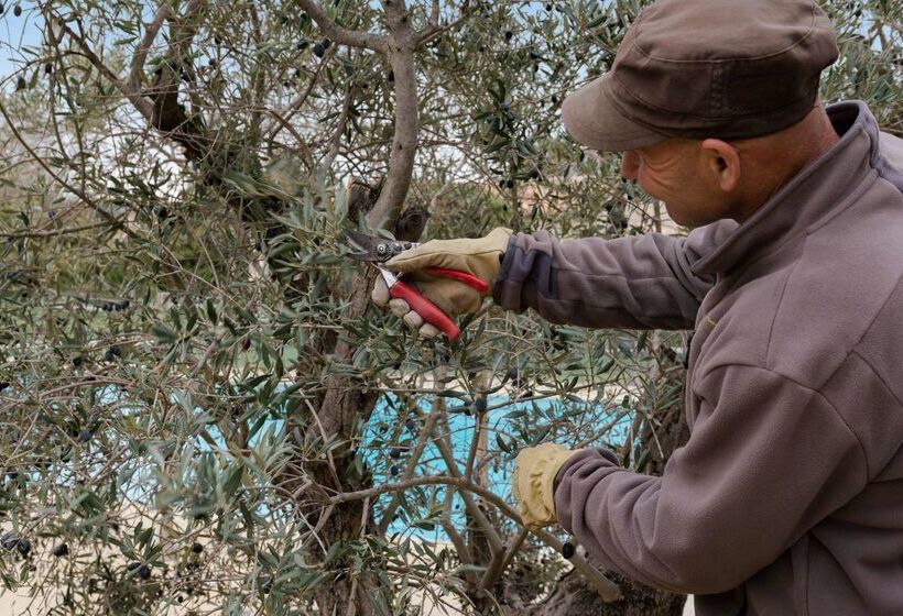 فندق Val Baussenc, The Originals Relais